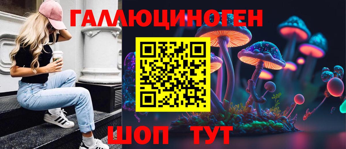Видное  Псилоцибиновые грибы GOLDEN TEACHER  Вход с VPN 
